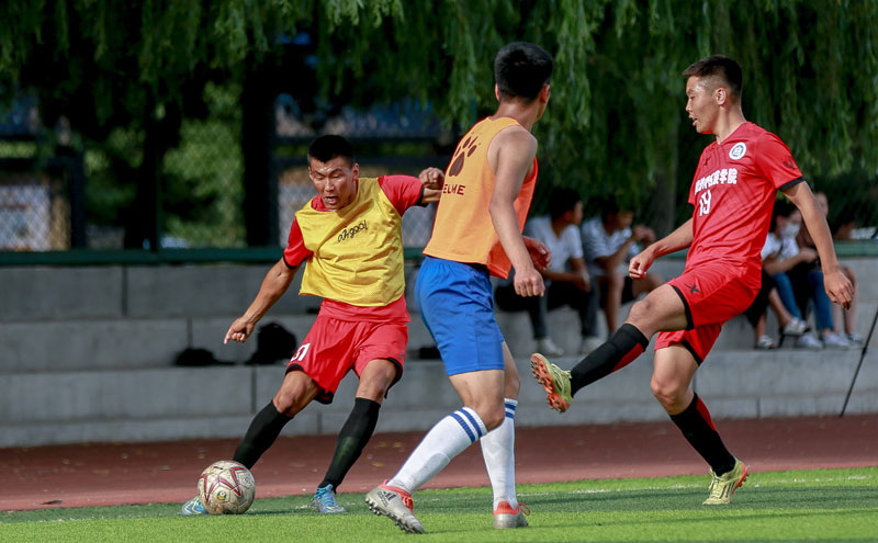 『莱莎』100万套纪念免费DLC 本日开始发布！